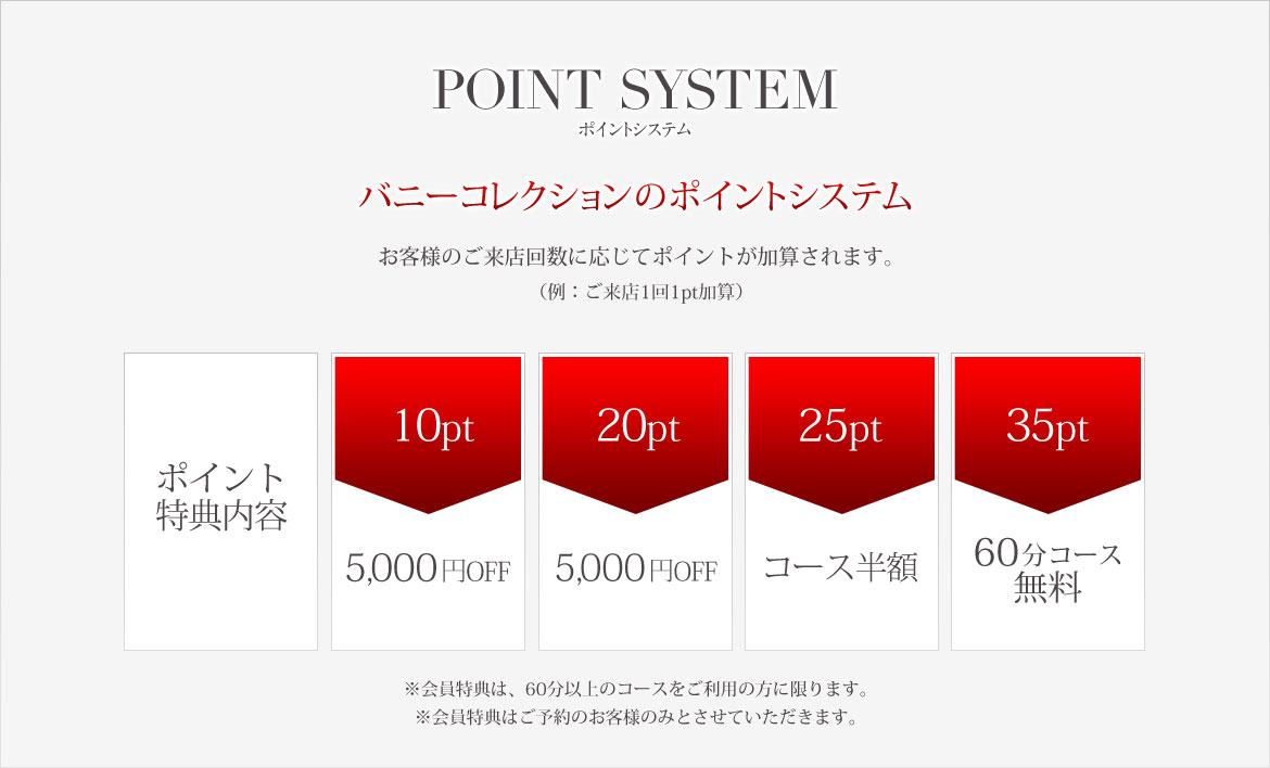 ポイントシステム
